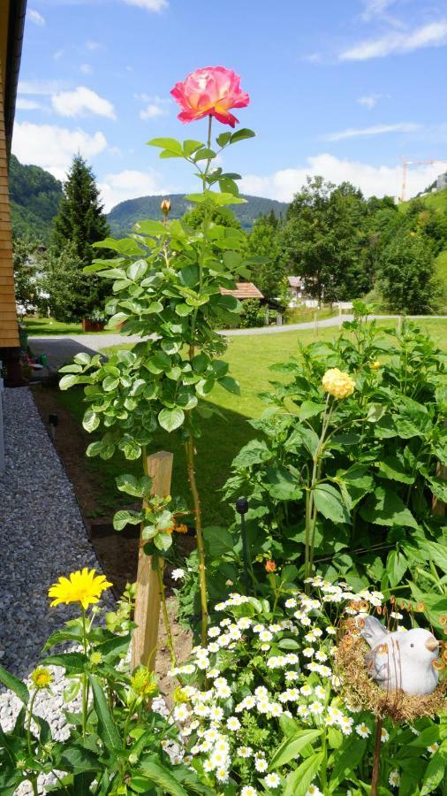 Ferienwohnung Haus Edeltraud Mellau Exterior foto